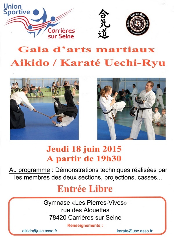 uechi ryu aikido demonstration france